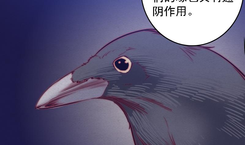 第108话 缺一不可(1/2)-第108话