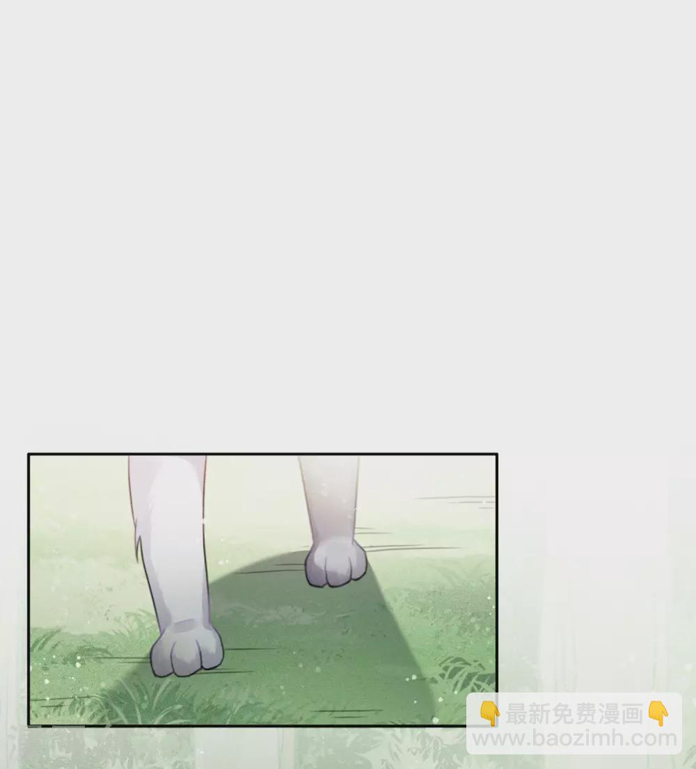 第10话 白羽金冠雕2-第12话
