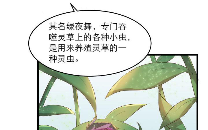 16话 小师弟真厉害(1/2)-第16话