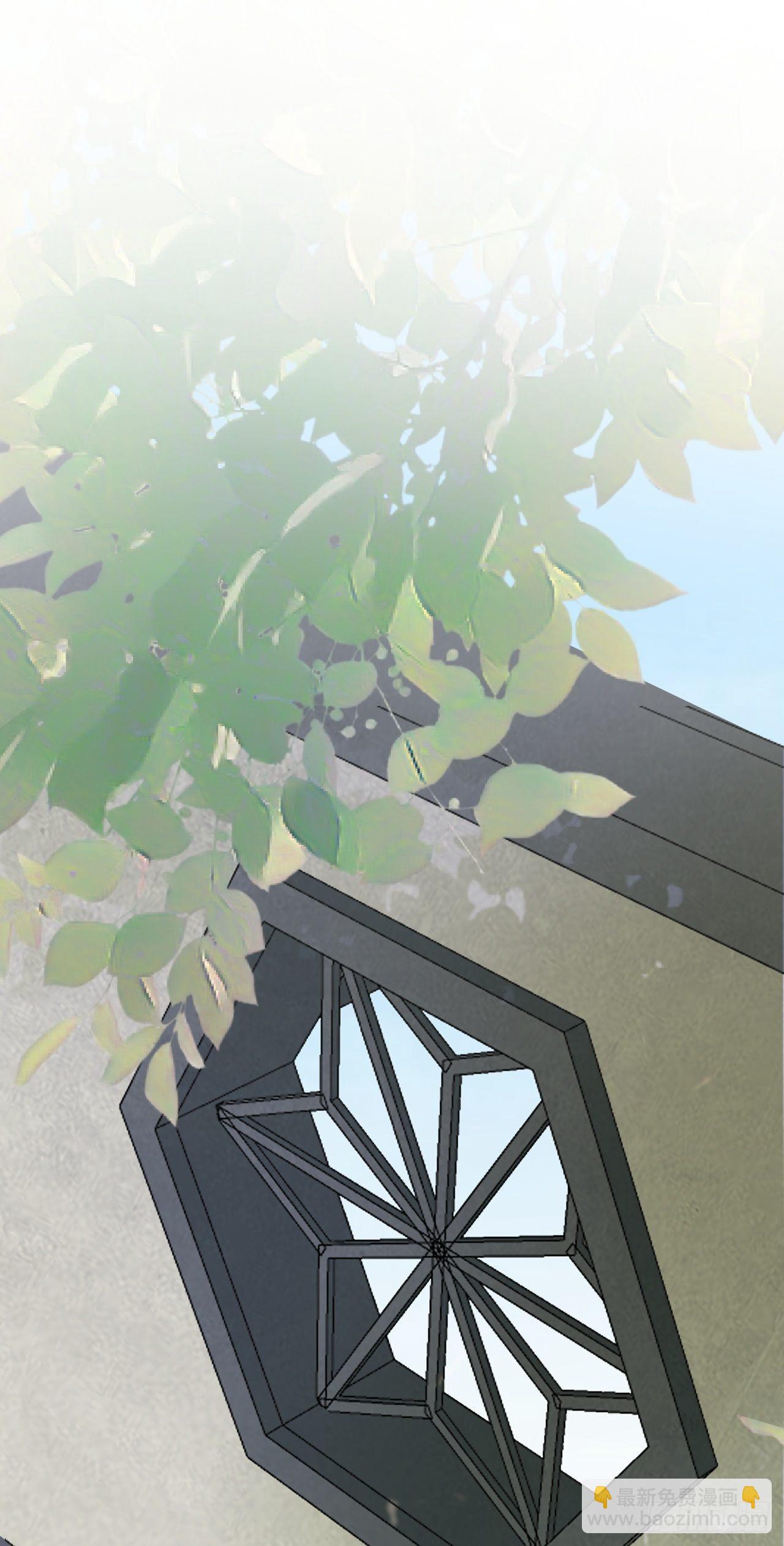 🍶超级绿茶系统 第6话 系统商城开启 第3页