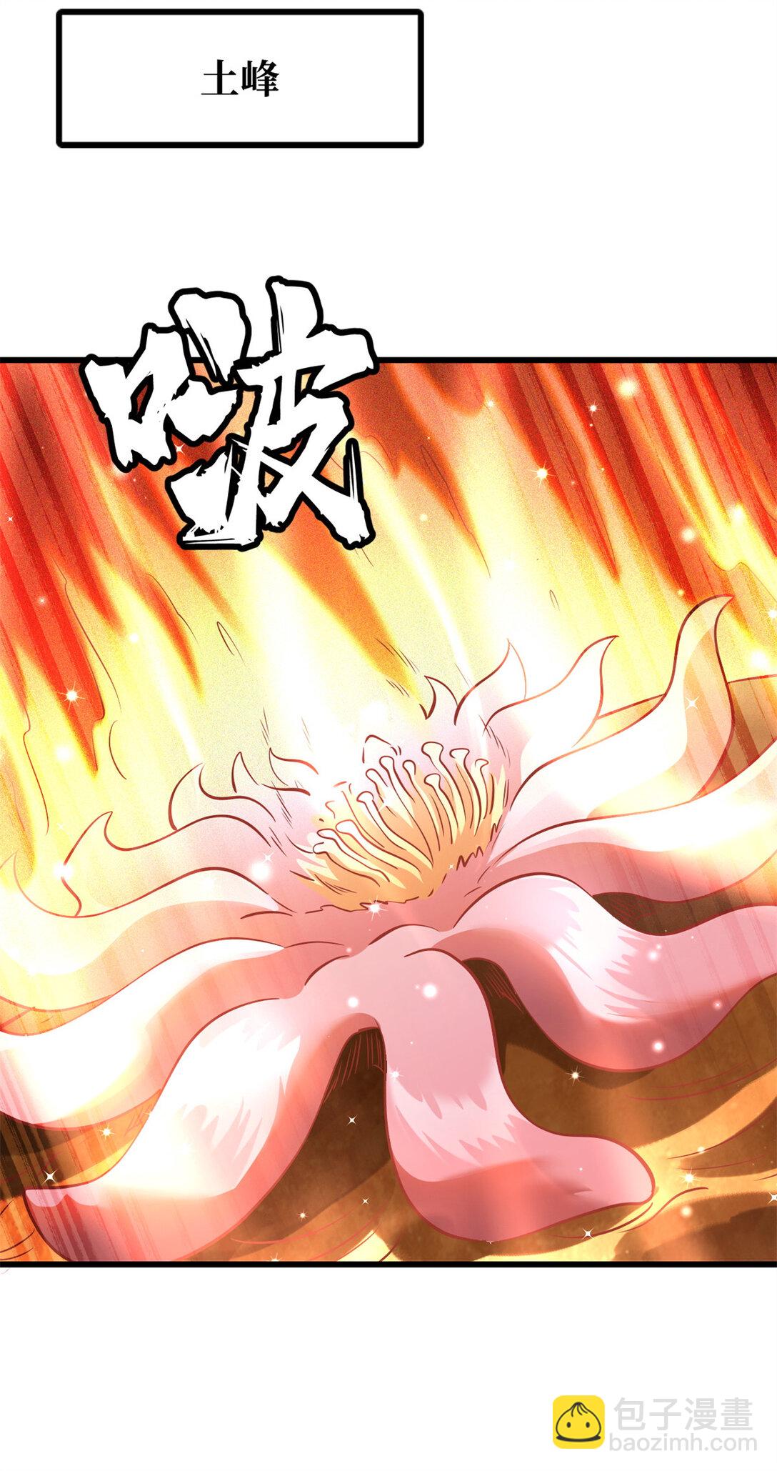 293 奇花(1/2)-第294话