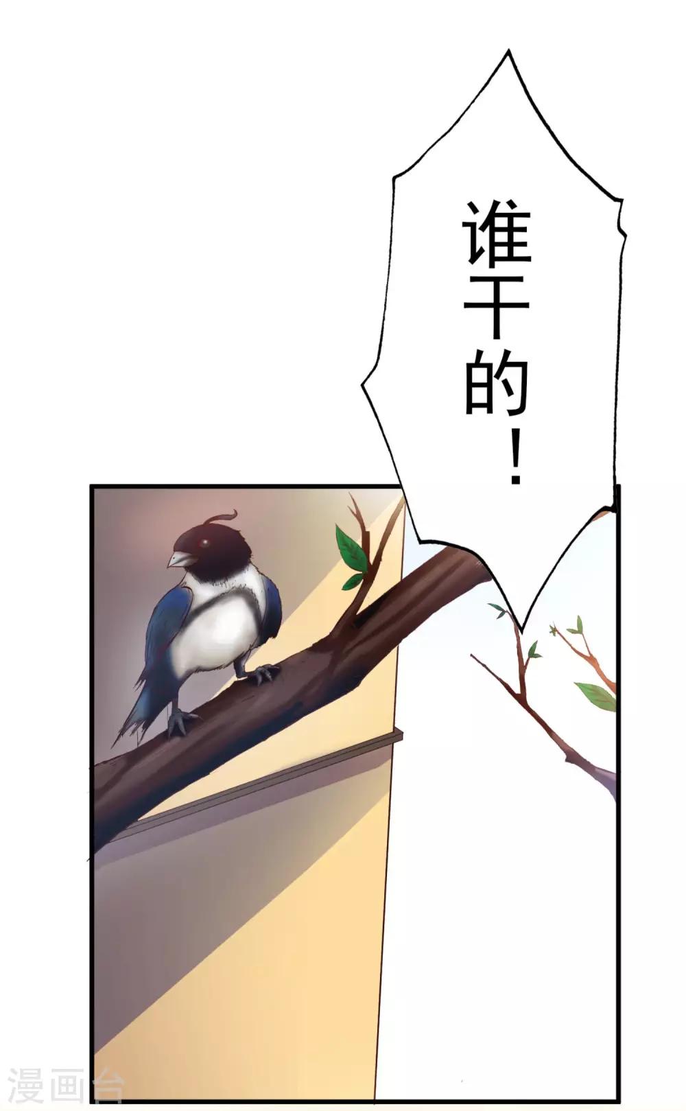 第33话 晚餐-第34话