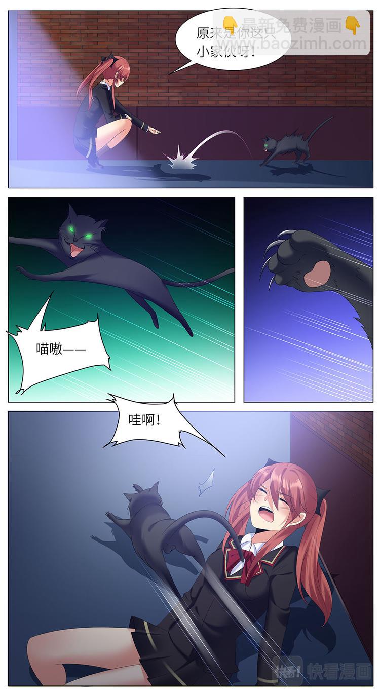 第26话 猫咪的攻击-第26话
