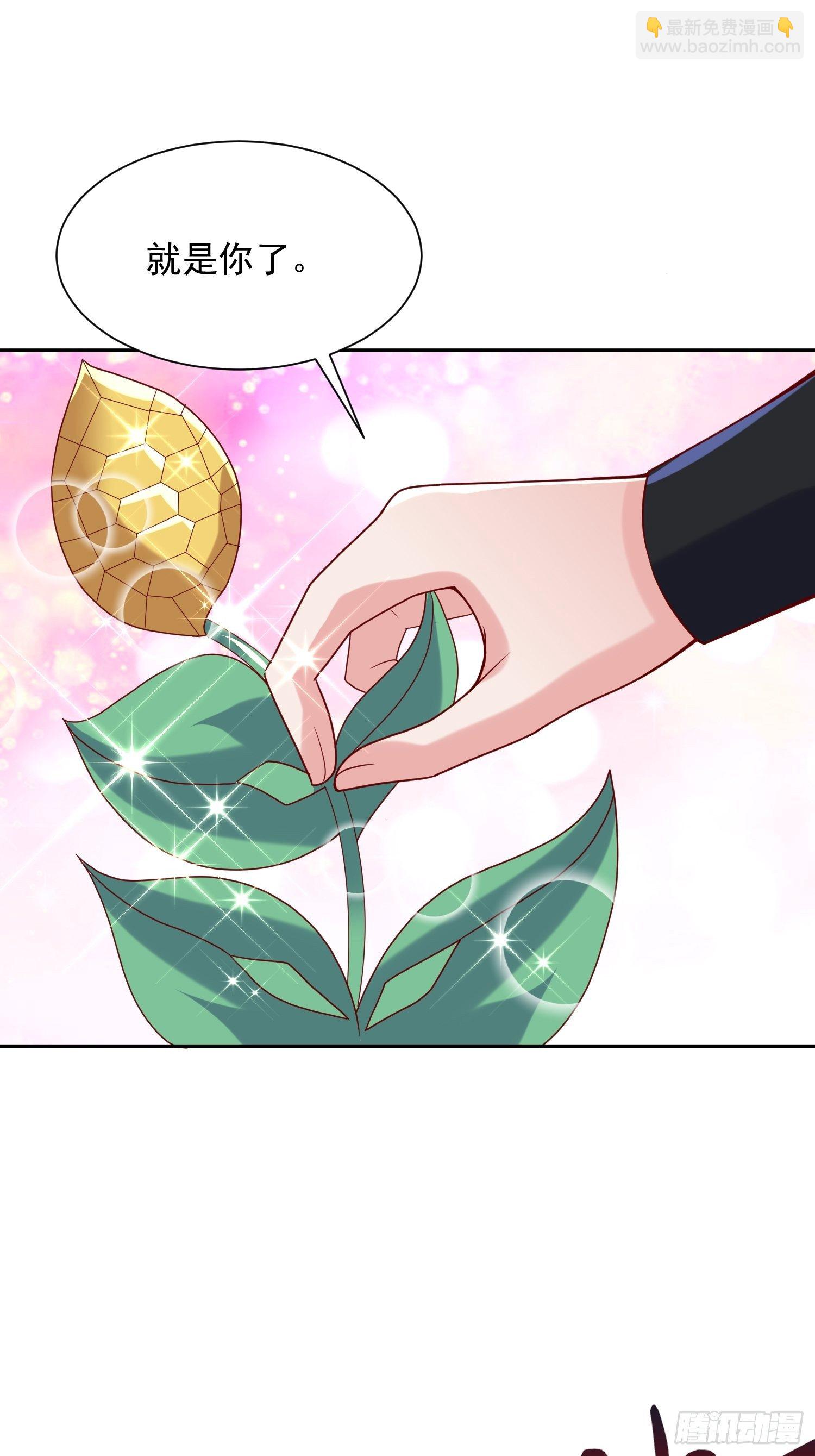 第50话 炼丹-第54话