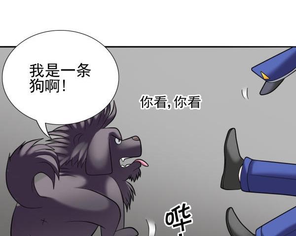 第14话 阿sir驾到-第14话