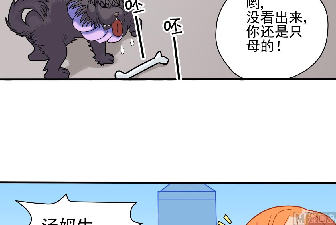 第08话 放人咬人-第8话