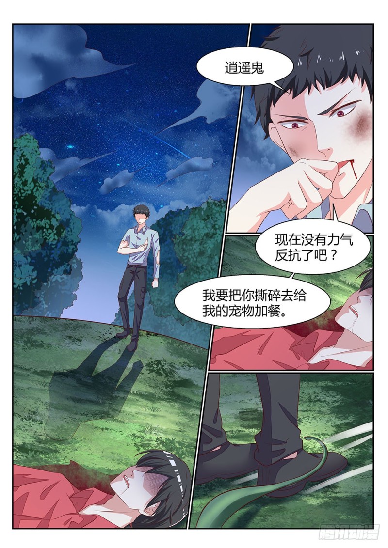 059话 植物大军VS动物大军-第62话