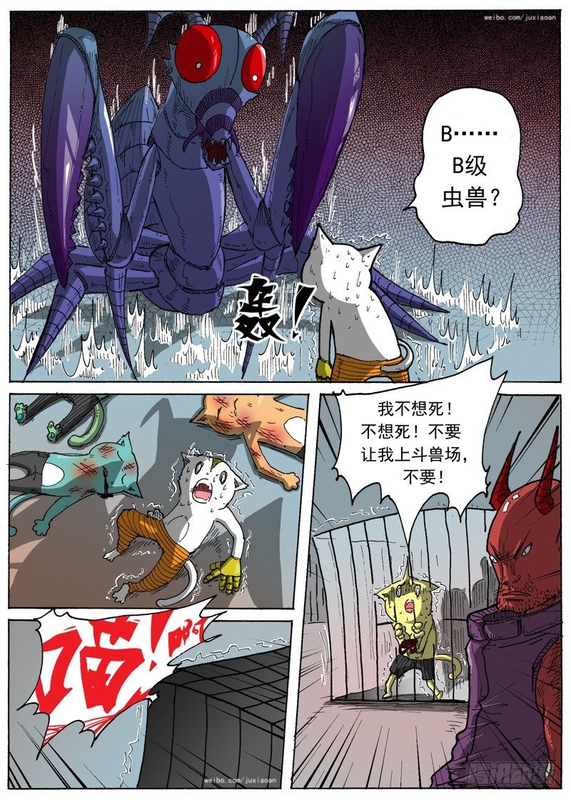 22 斗兽！（上）-第22话