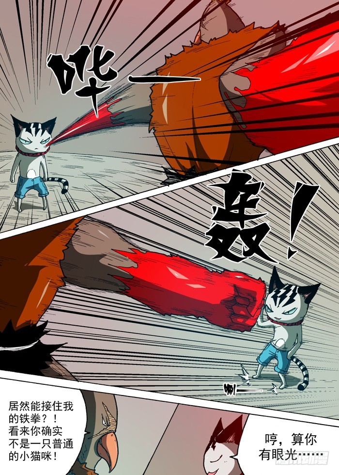 80 战鹰（上）-第80话