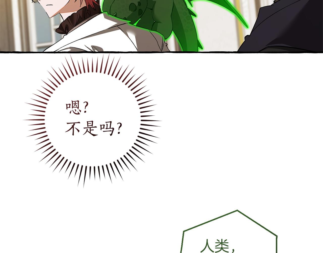 🍶成为伯爵家的废物 第170话 又有喵族？ 第30页