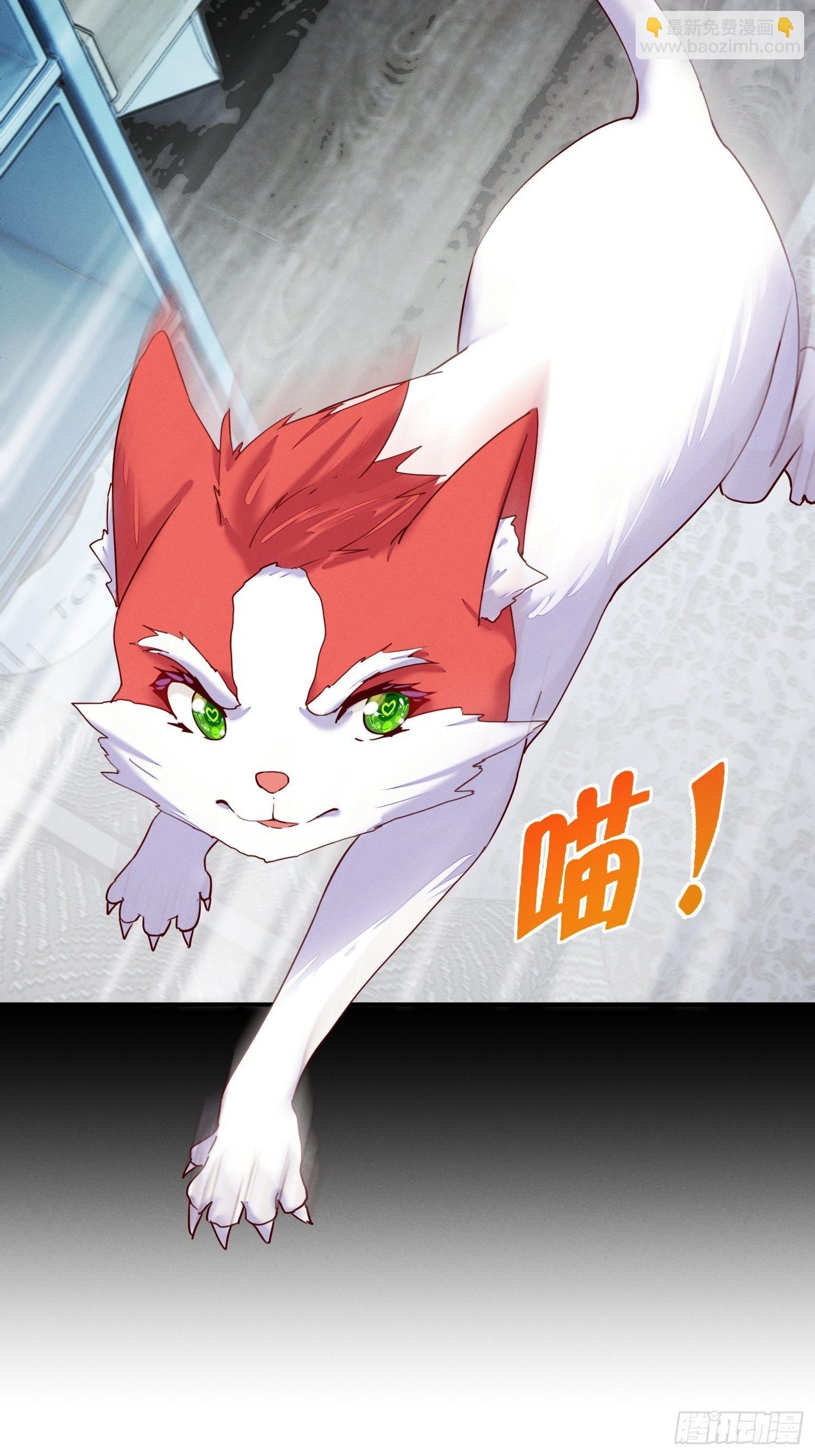 被妹子们包围？！(1/2)-第2话