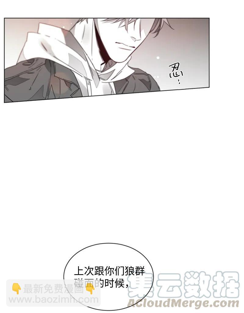 10 崔英轩-第10话