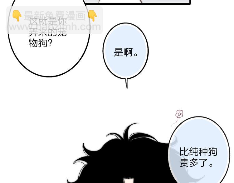 狗狗番外篇-第34话