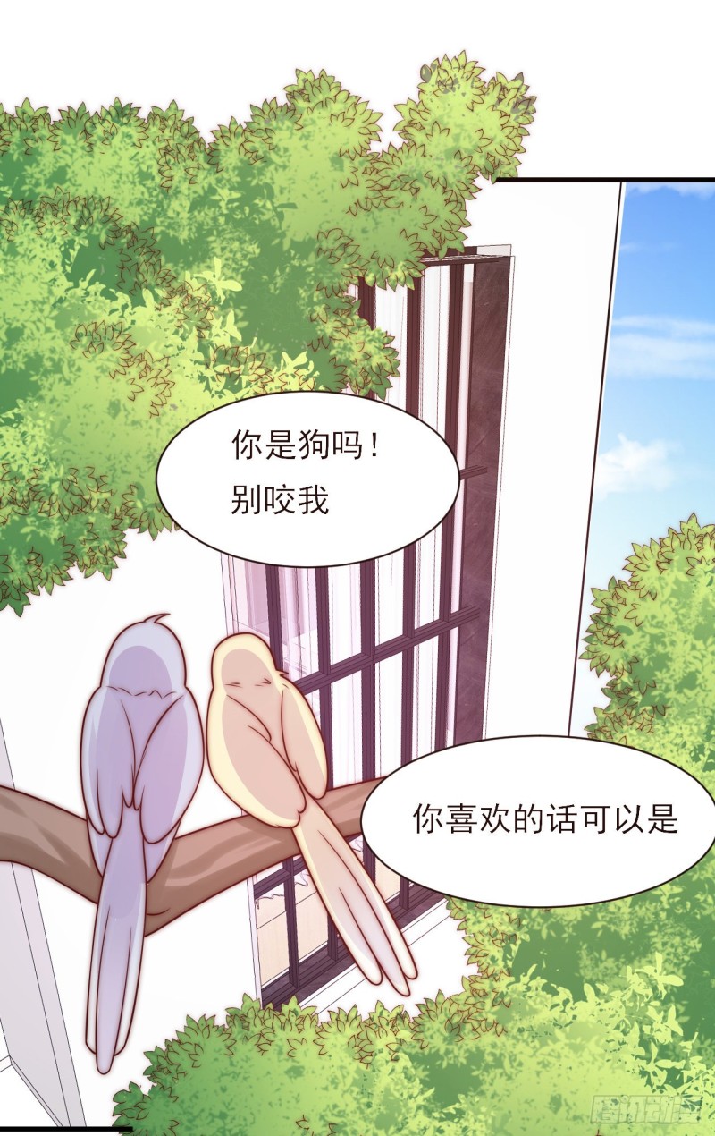 第28话 坦诚(1/2)-第28话