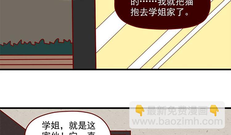 🍶离别的岛，重逢的岛 第22话：跟踪 第22页