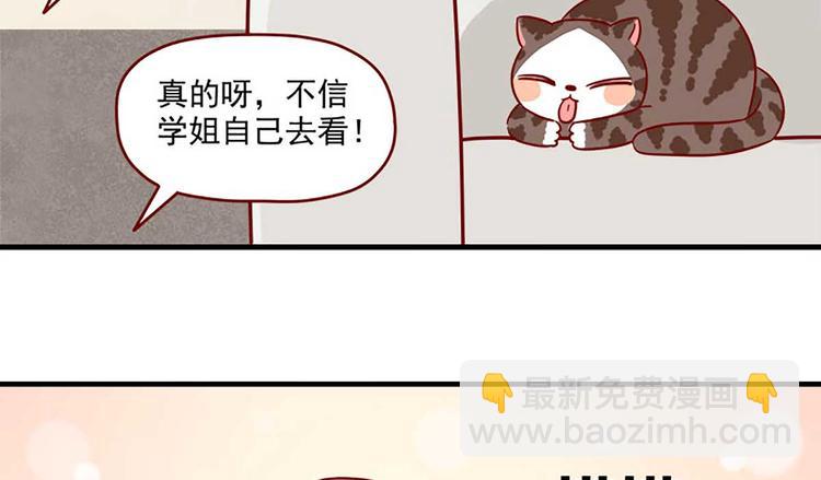 🍶离别的岛，重逢的岛 第22话：跟踪 第30页