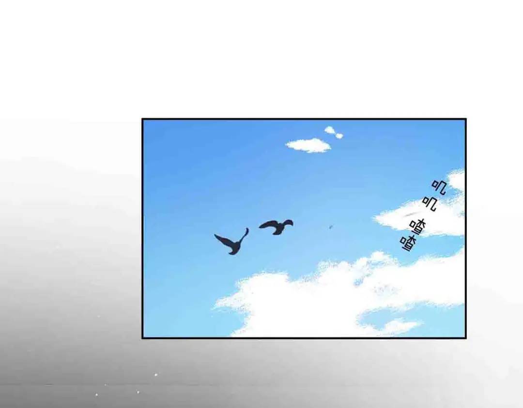 15(1/2)-第14话