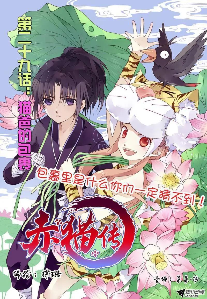 第29回 猫爸的包裹-第28话