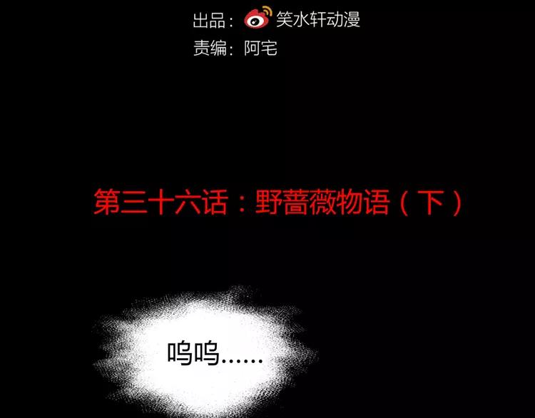036 野蔷薇物语（下）(1/2)-第38话