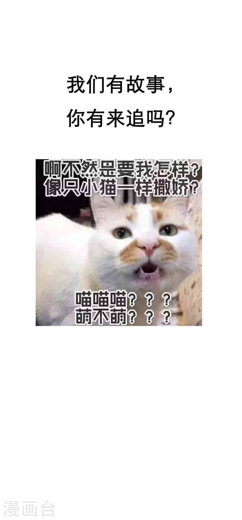 第14话 今天开始是夫妻-第14话