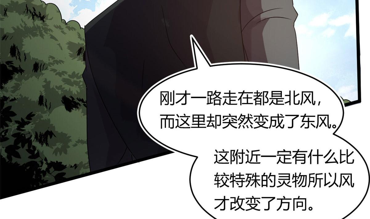 65 断林的宝藏(1/2)-第66话