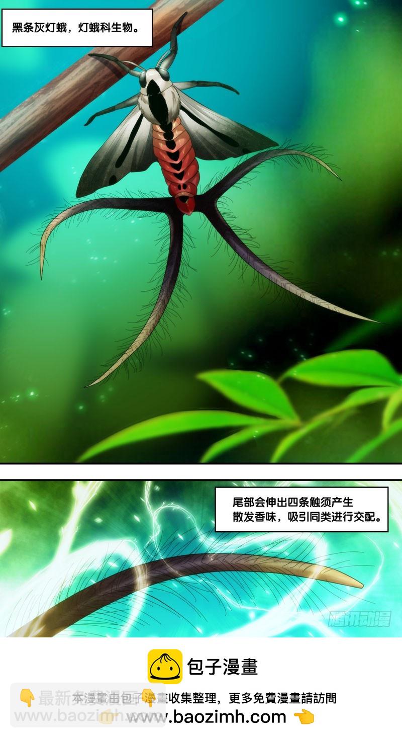 🍶虫生 199.香水味 第11页