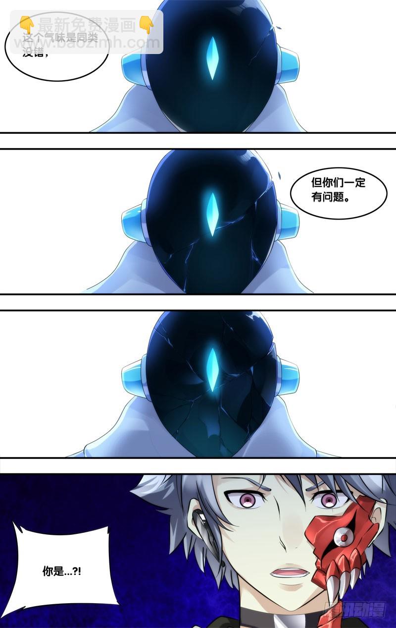 🍶虫生 221.蜘蛛 第4页