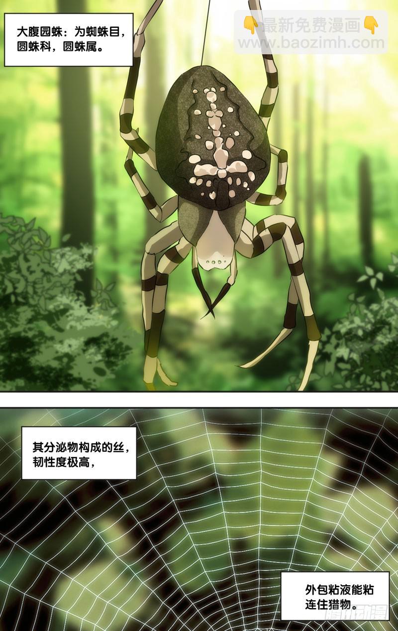 🍶虫生 44.蛛 第6页
