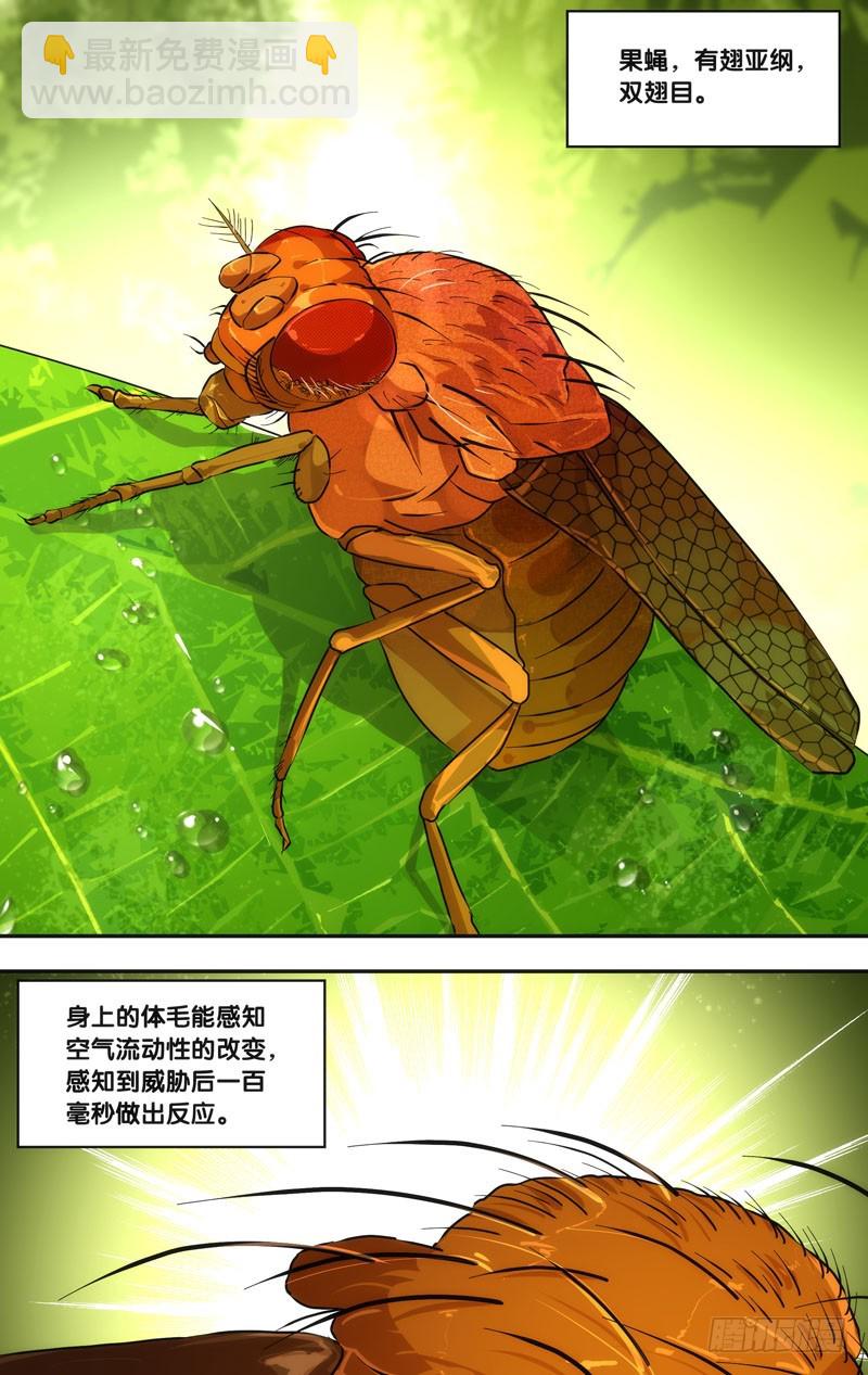 🍶虫生 46.追击 第11页