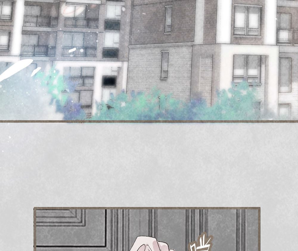 第50话 生日惊喜（上）(1/2)-第50话