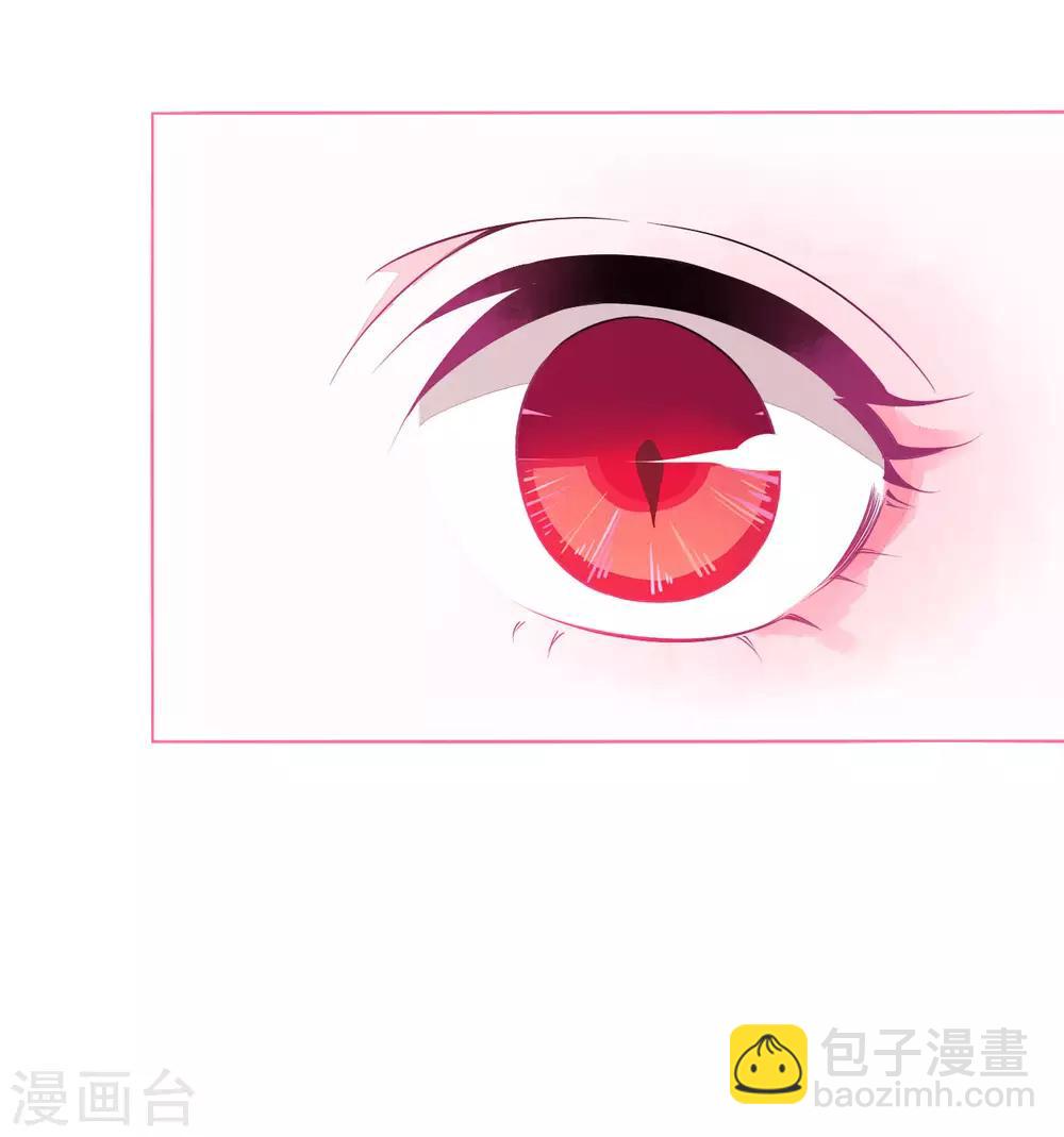 第1话1 我变成熊猫了？！(1/2)-第2话