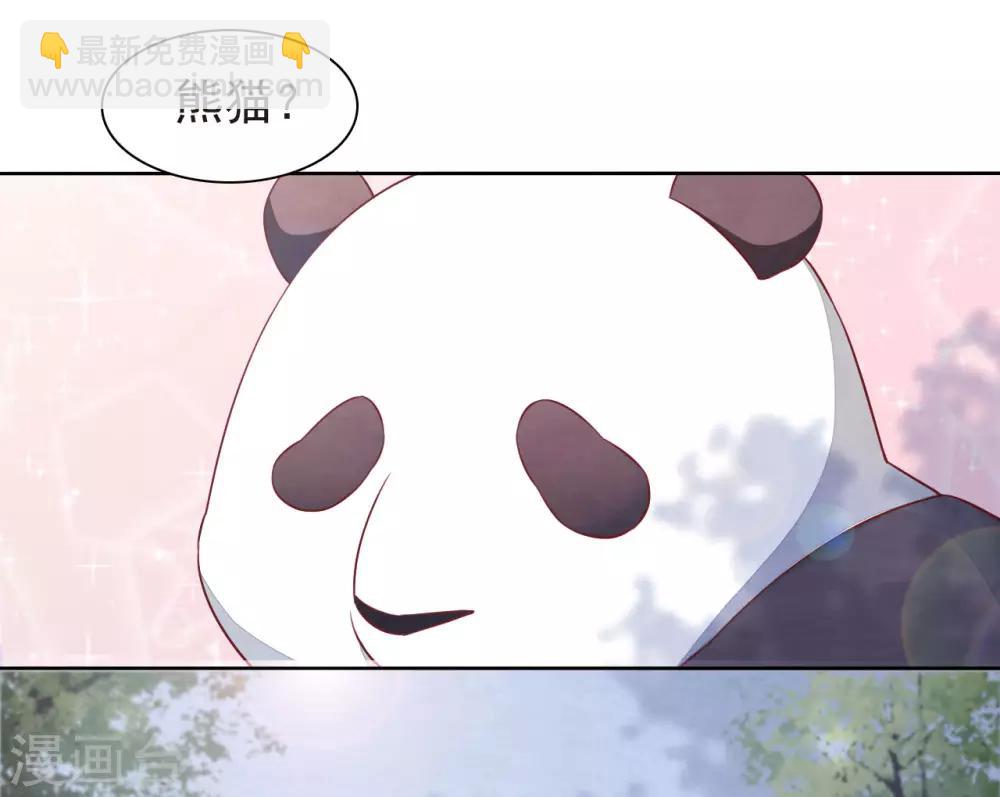 第1话1 我变成熊猫了？！(1/2)-第2话