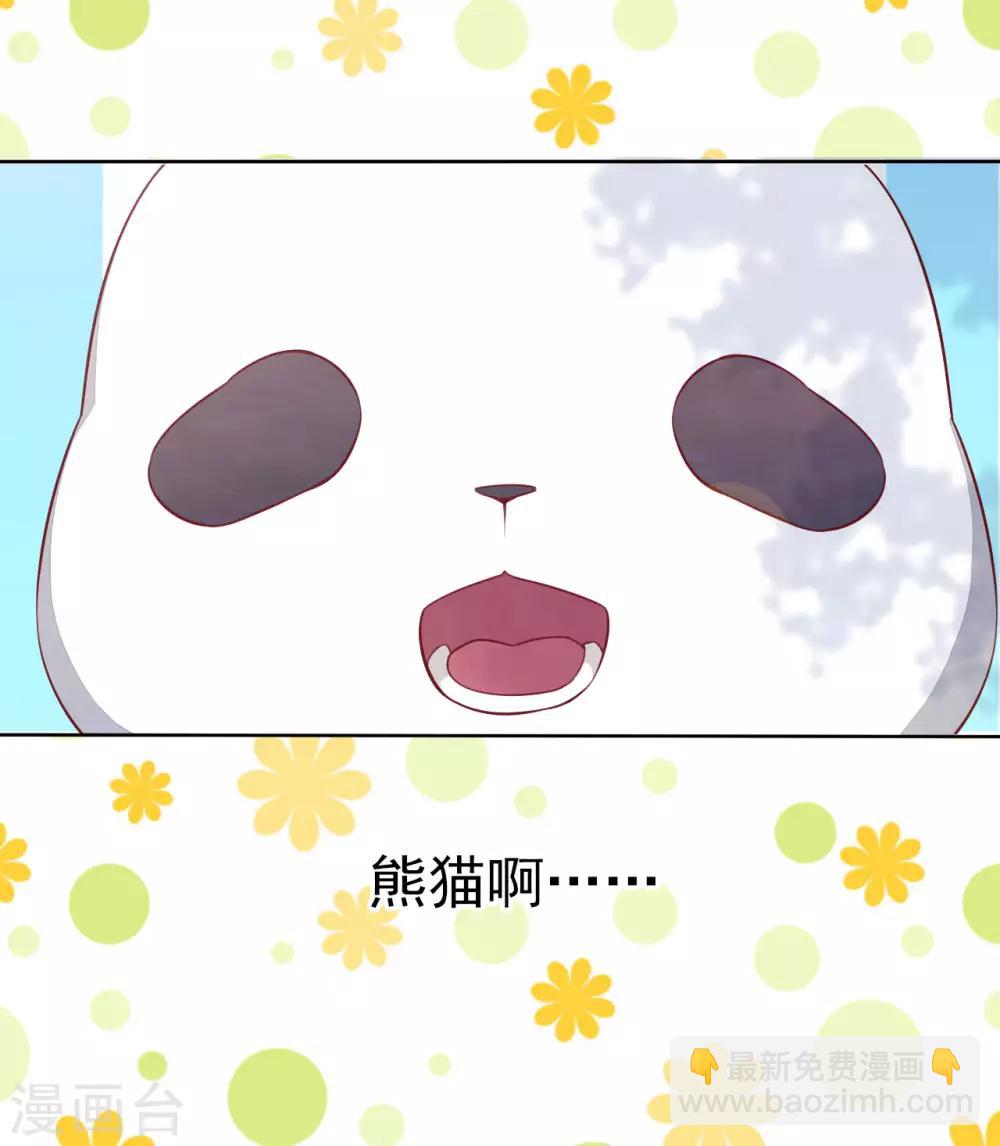 第1话1 我变成熊猫了？！(1/2)-第2话