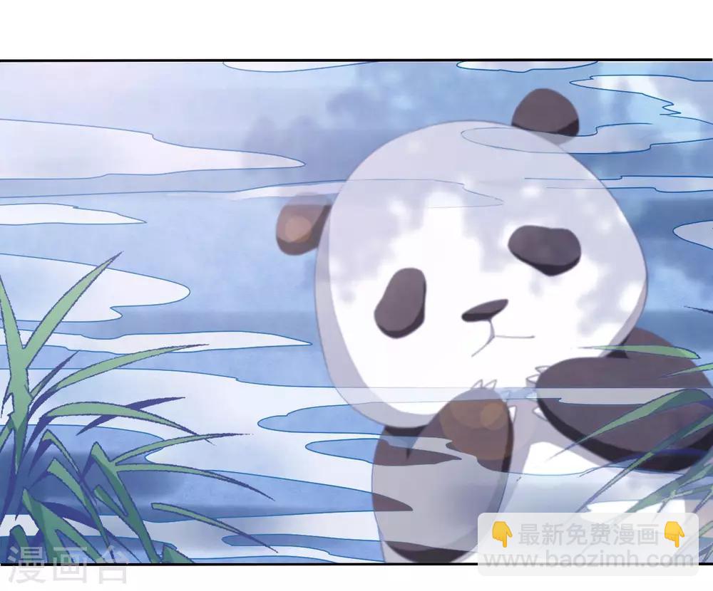 第1话1 我变成熊猫了？！(1/2)-第2话