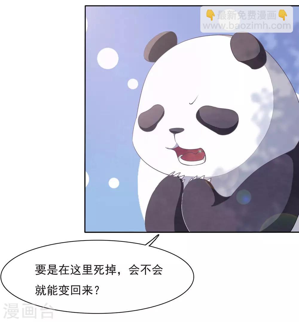 第1话1 我变成熊猫了？！(1/2)-第2话