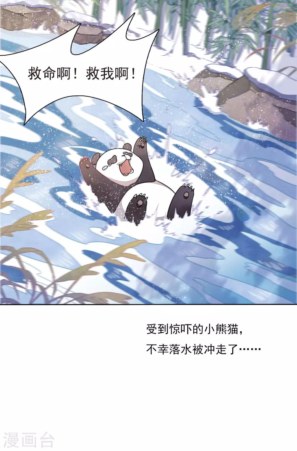 第1话1 我变成熊猫了？！(1/2)-第2话