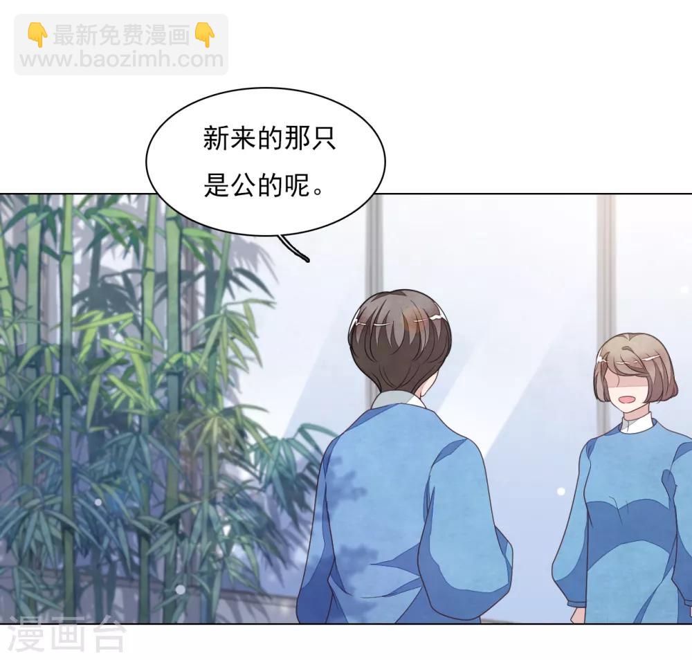 第130话 是她！-第142话