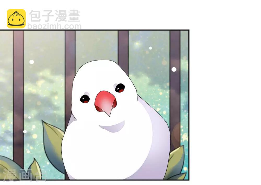 第35话 笼中鸟1-第44话