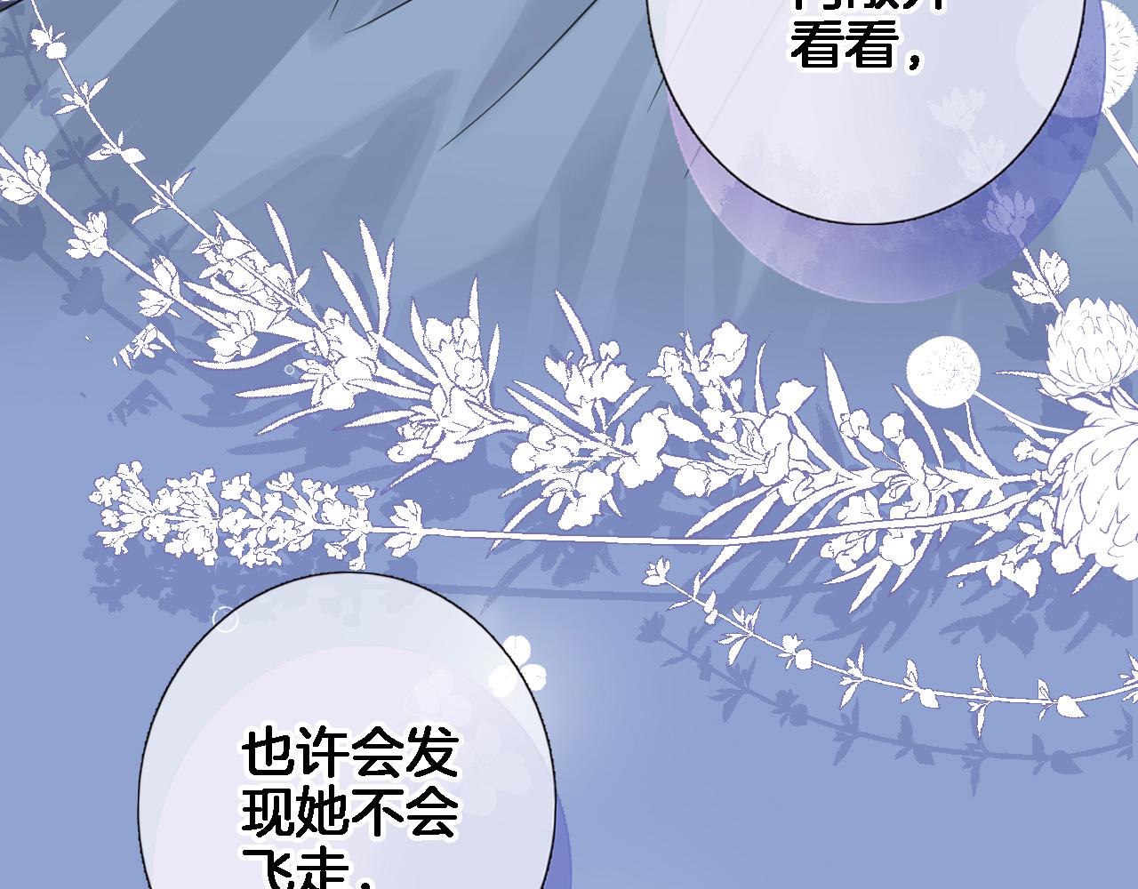 第七十五话 深夜花园(1/2)-第78话