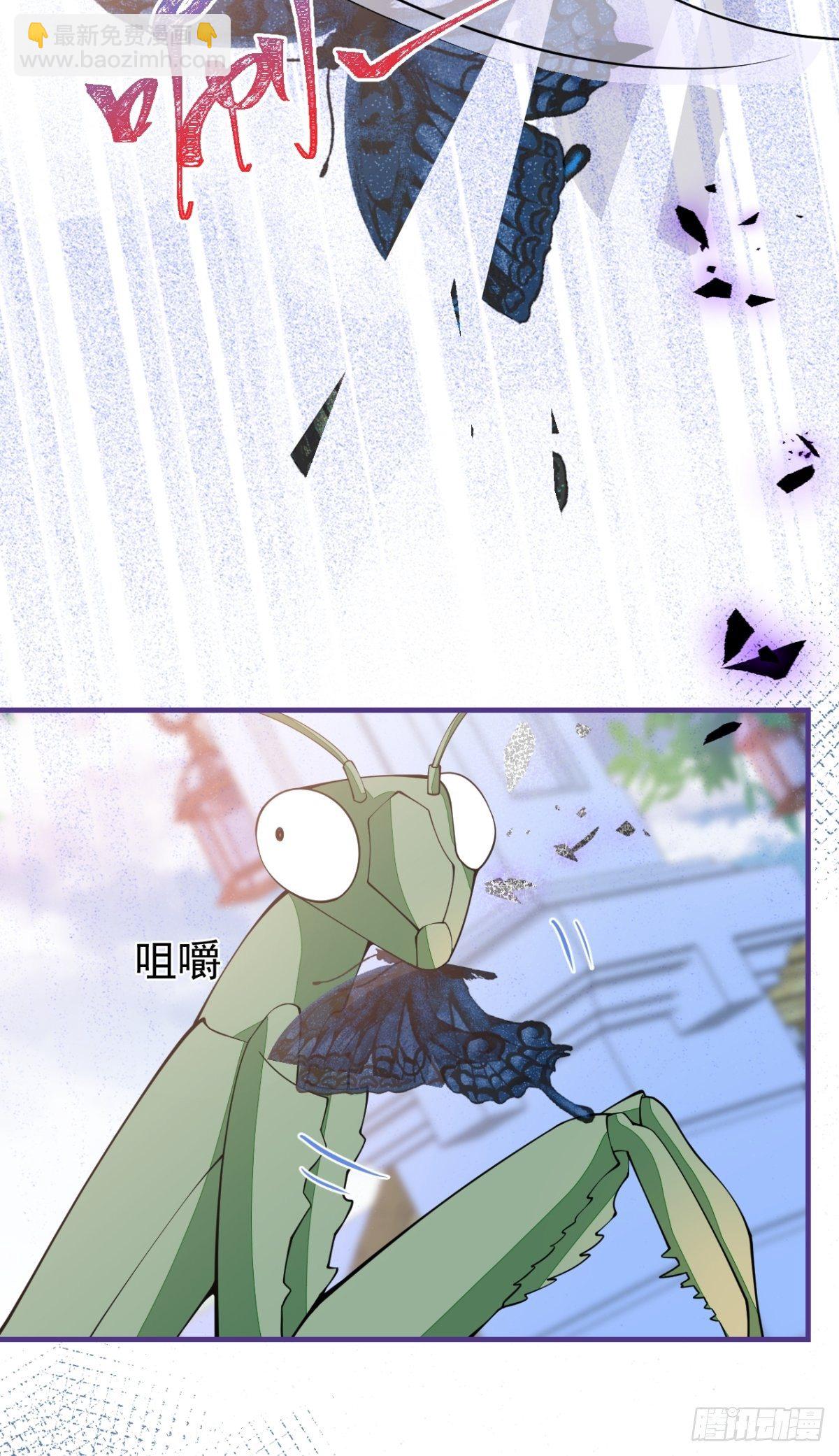 43-试着保护我吧(1/2)-第44话