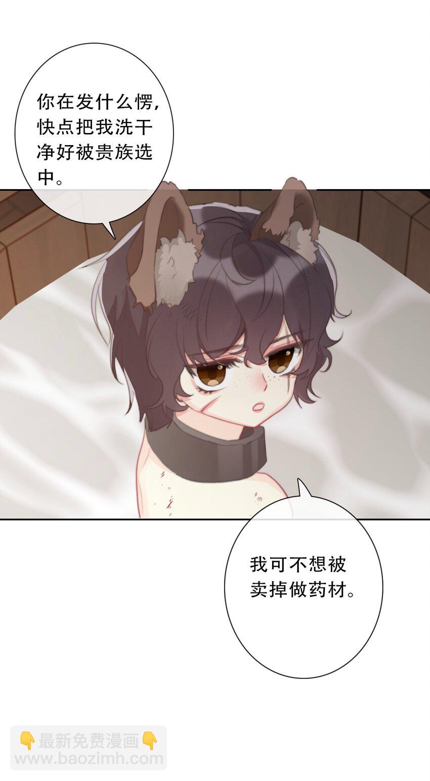116 宴会仪式-第124话
