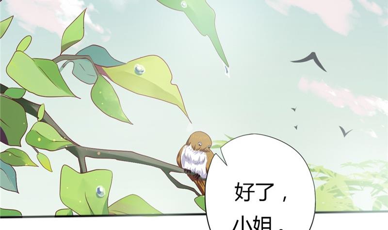 🍶穿越女总想抢我夫君 第3话 重来与拯救 第46页