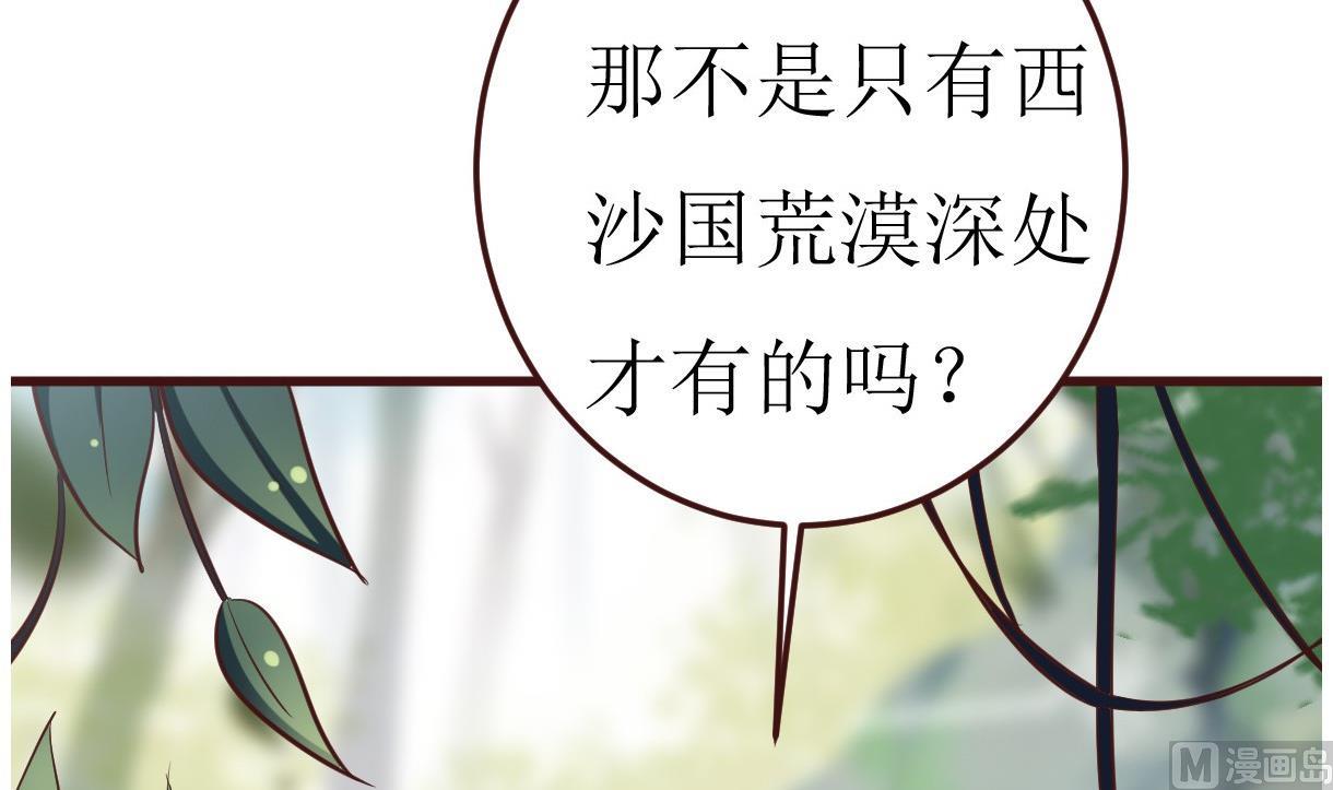 🍶穿越女总想抢我夫君 第51话 复活卡 第13页