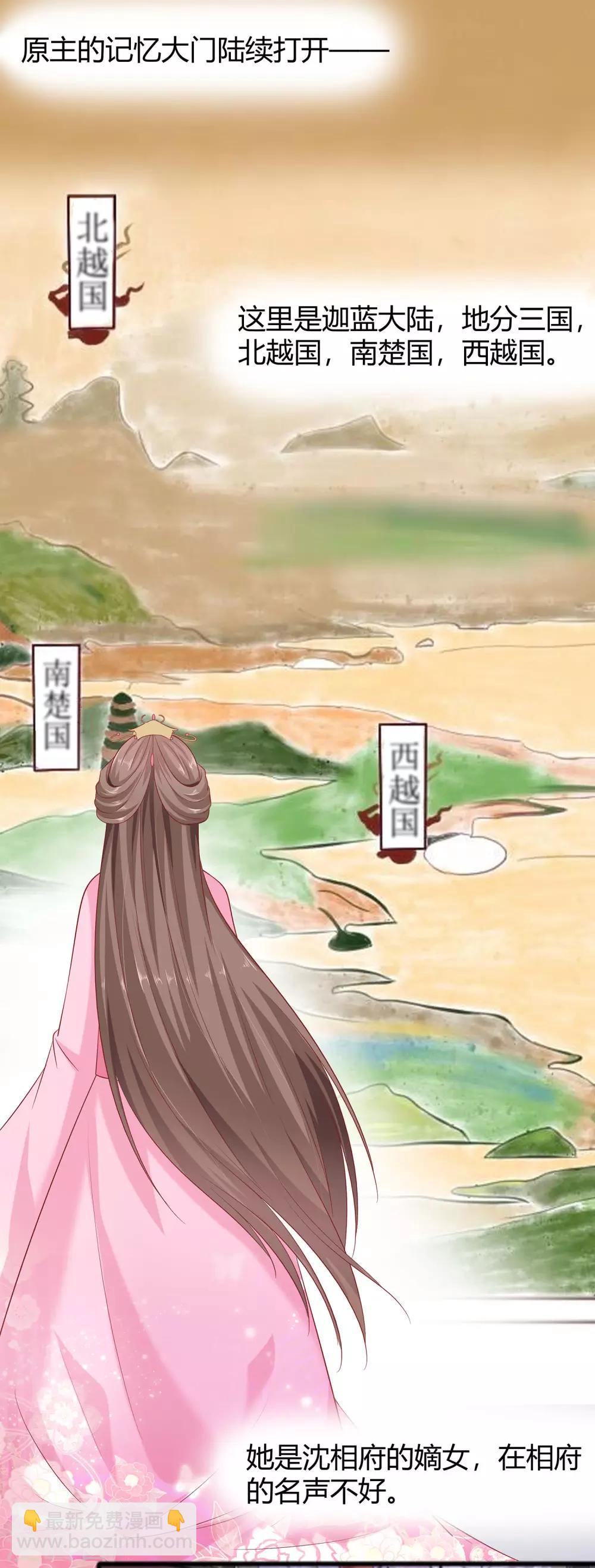🍶穿越王妃，夫君别找虐 002 不断的情 第11页