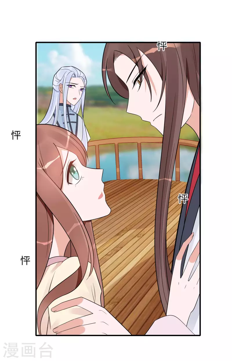 🍶穿越王妃，夫君别找虐 048 遇刺 第11页