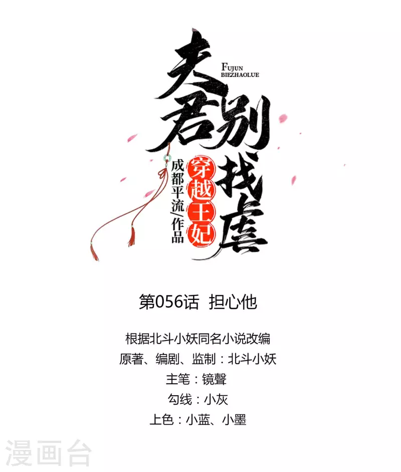 🍶穿越王妃，夫君别找虐 056 担心他 第4页
