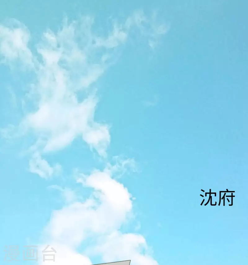 🍶穿越王妃，夫君别找虐 058 天价悬赏 第31页