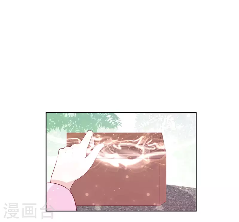 🍶穿越王妃，夫君别找虐 060 转悲为喜 第34页