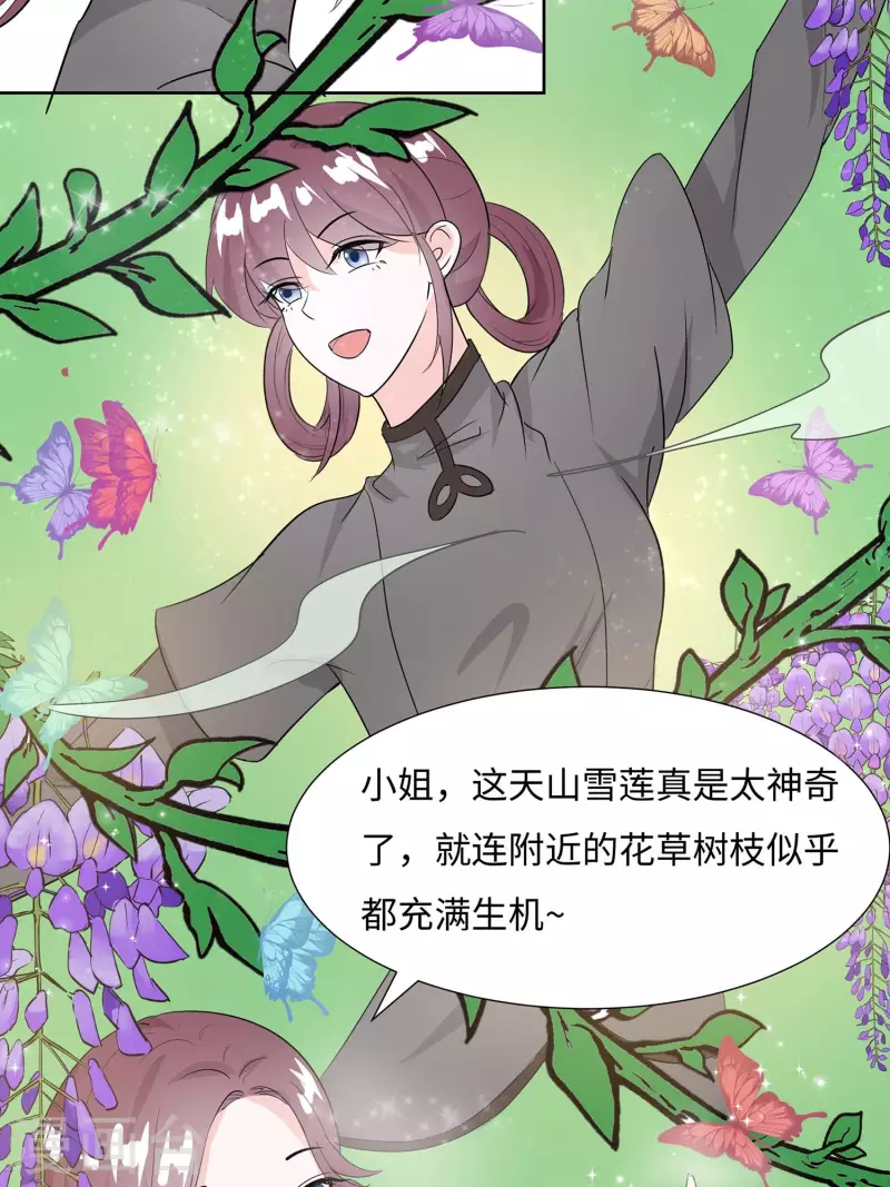 🍶穿越王妃，夫君别找虐 062 天才御药师 第24页