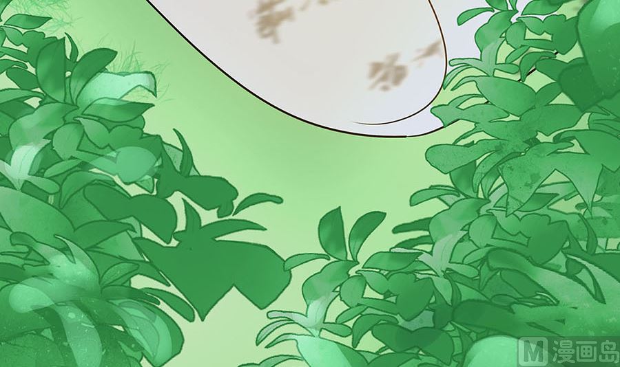 🍶穿越王妃夫君别找虐 第62话 天才御药师 第22页